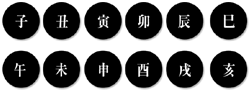 캰  ϳ⵿ 12ѿ